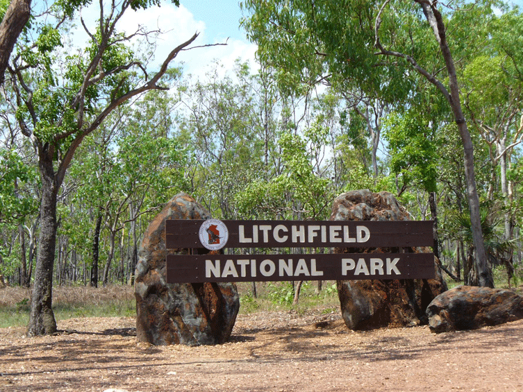 Litchfield national park the locals favourite place to visit on weekends is just 90 minutes short drive from Darwin