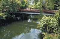 Adelaide River